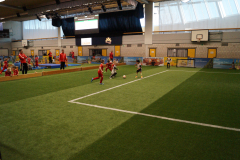 DSC00541