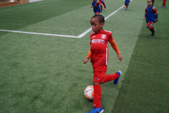DSC00590