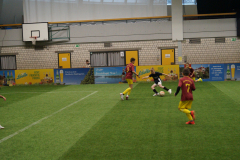 1_DSC01733