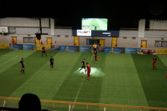 DSC01988